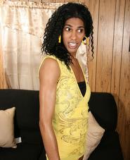 Black shemale cum