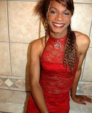 Free transexual video