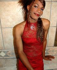 Transexual photos