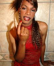 Free tranny pictures