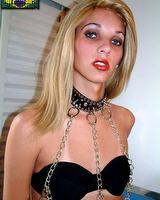 xxx shemales, transexual galleries