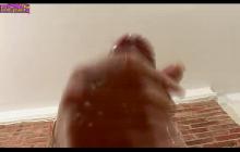 shemales free, shemale movie galleries
