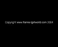 shemales plus, free tranny anal sex