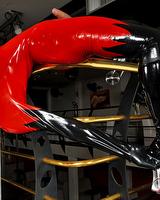 shemales gallery, fresh shemale