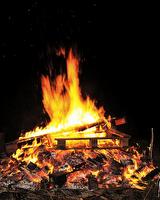 american shemales, mature shemales