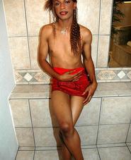 Transexuales travestis shemales